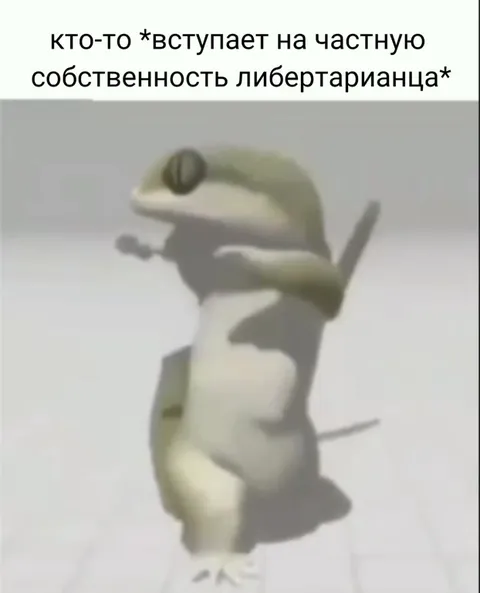 Либертарианец защищает частную собственность
