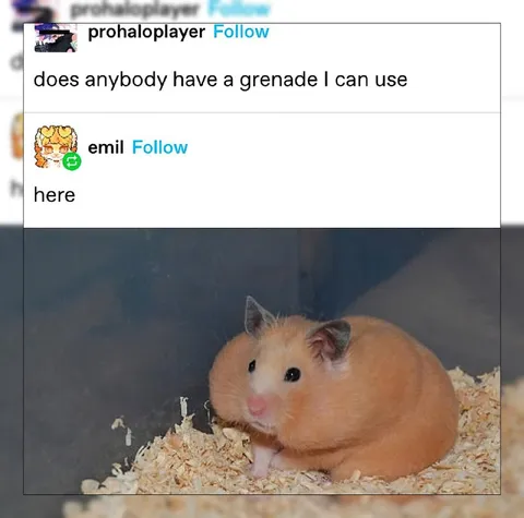 Hamster Offers a Grenade