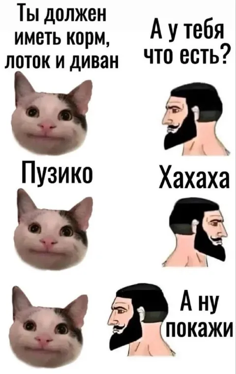 Кот показывает пузико Чаду