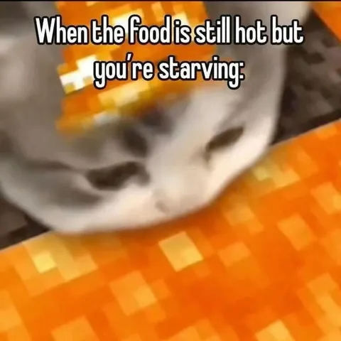 Hungry Cat Eats Hot Food