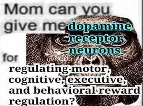 Mom Can You Give Me Dopamine