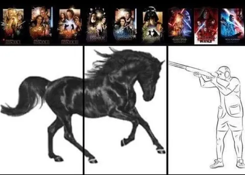 Star Wars Horse Transformation