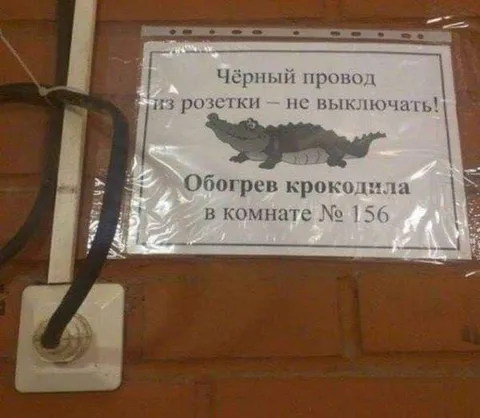 Обогрев крокодила в комнате