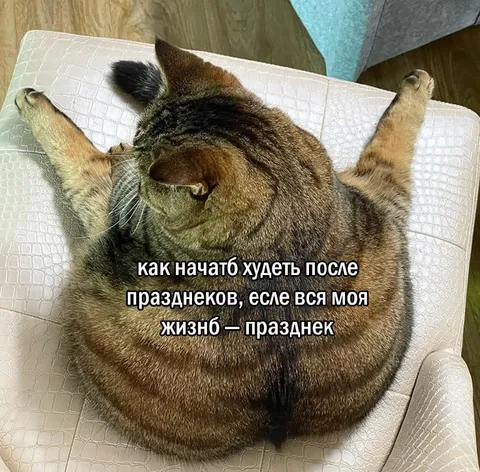 Вся жизнь — праздник