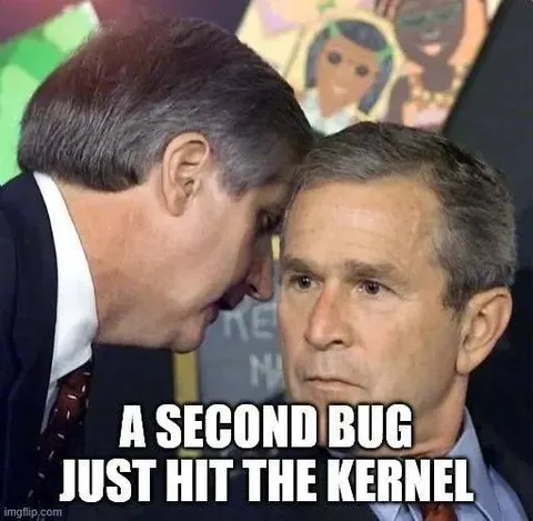 A Second Bug Hit the Kernel