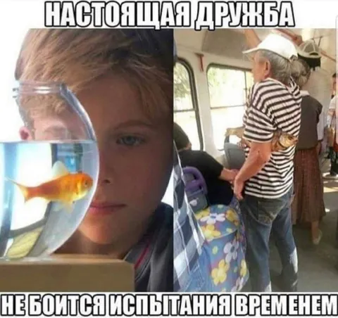 Настоящая дружба сквозь время
