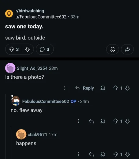Saw Bird Outside