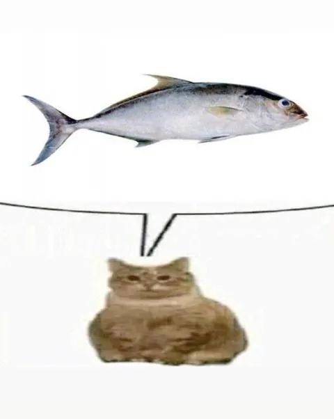 Кот говорит о рыбе