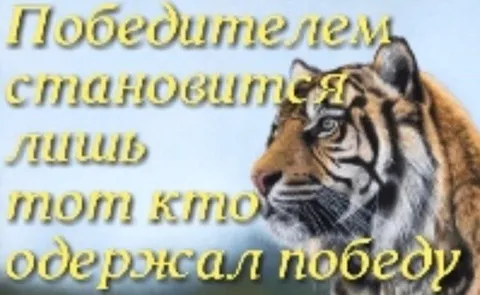 Победителем становится тот кто победил