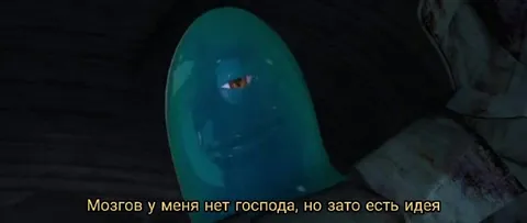 Мозгов нет, зато есть идея
