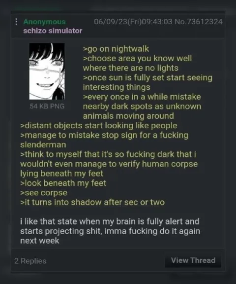 Nightwalk Hallucination Greentext