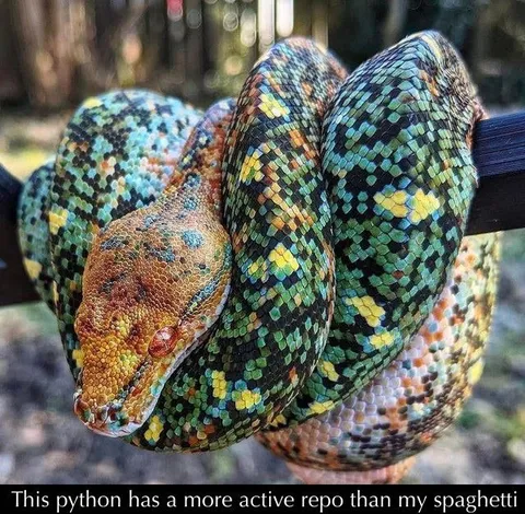 Python Has an Active Repo