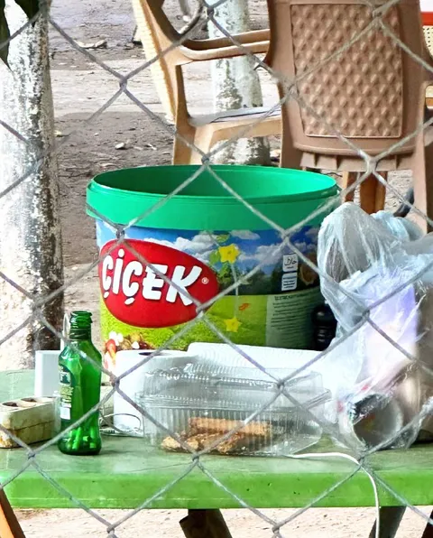 Çiçek kovasında piknik