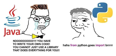 Java Developer Sees Python Import