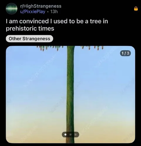 Used To Be A Prehistoric Tree