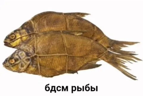 БДСМ рыбы