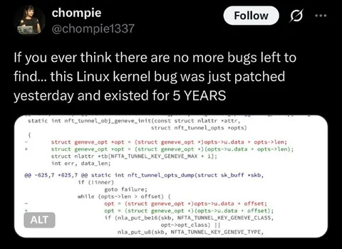 Five-Year Linux Kernel Bug