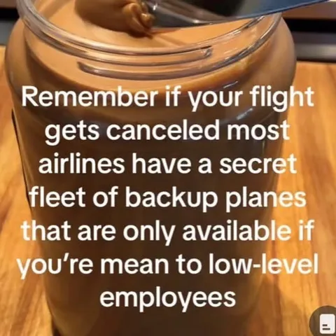 Secret Backup Plan Fleet