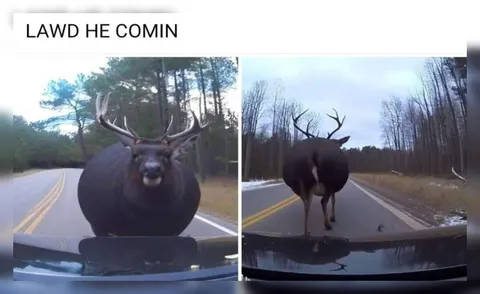 Lawd He Comin Deer