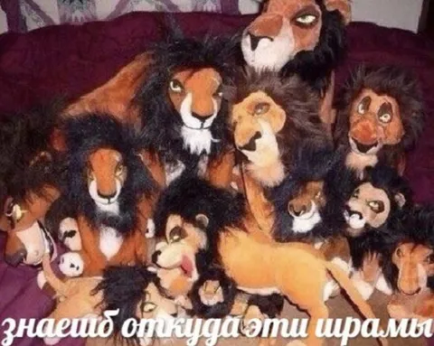 Знаешь, откуда эти шрамы?