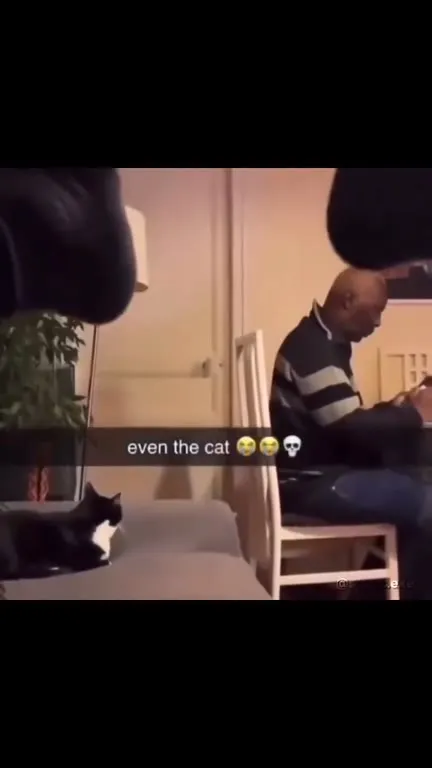 Even the Cat Is Traumatized