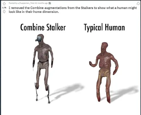 Combine Stalker vs Typical Human