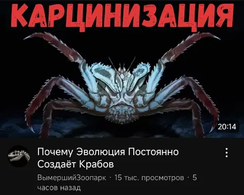Эволюция постоянно создаёт крабов