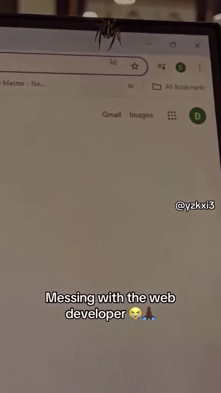 Spider Messes With Web Developer