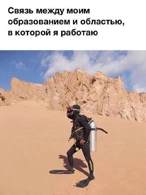 Связь образования и работы