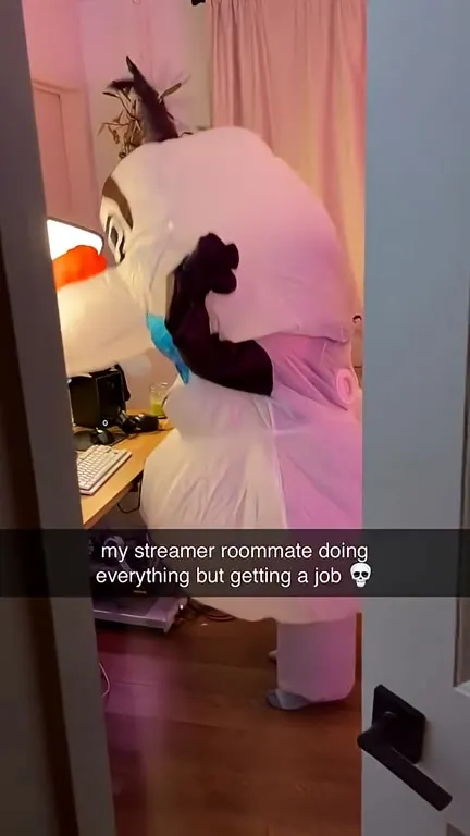 Streamer Roommate Avoids Getting a Job