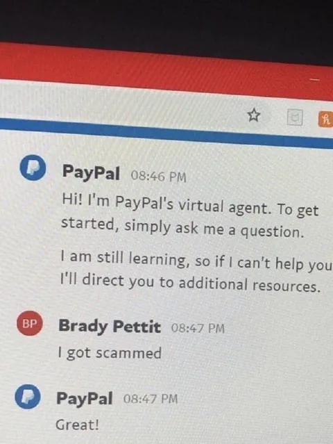 PayPal Chatbot Says Great