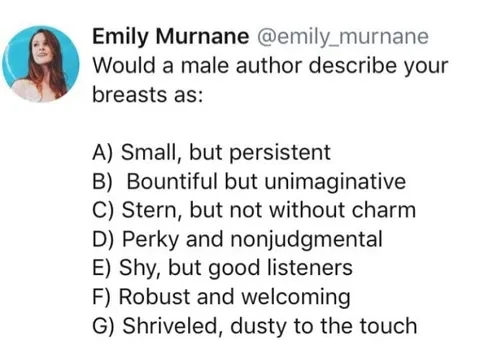 Male Author Breast Descriptions