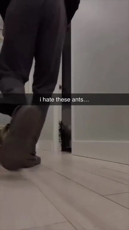 I Hate These Ants