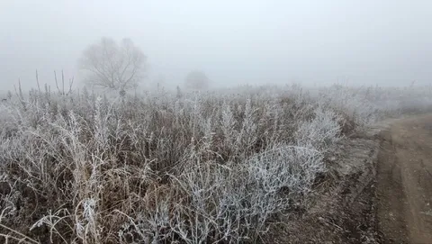 Иней и туман вместо снега