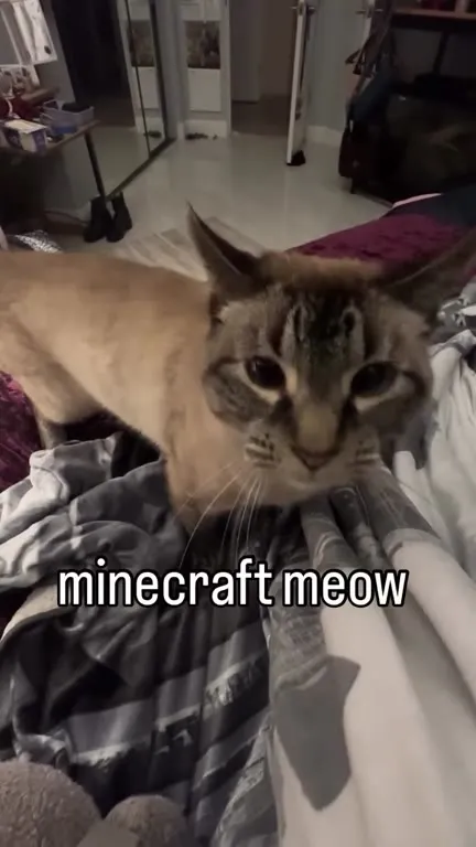 Minecraft Meow Cat Attack