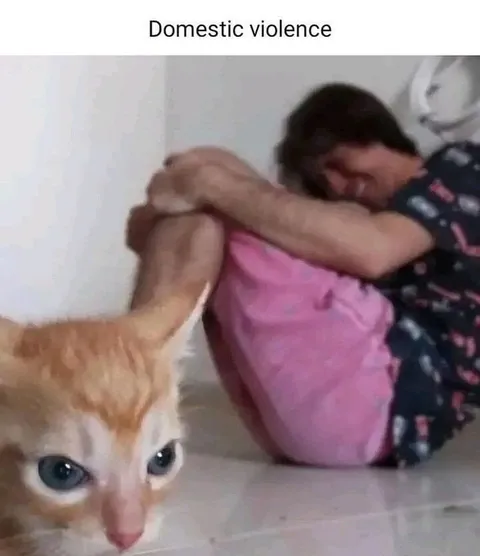 Domestic Violence Cat