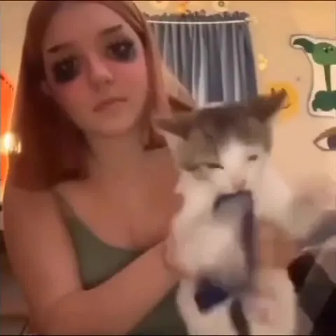 Are U Done Cat Dance