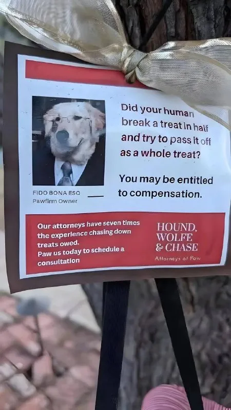Dog Treat Compensation Lawyer
