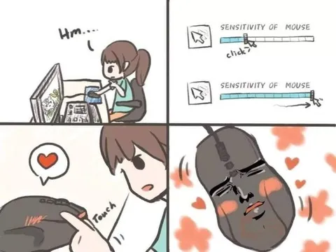 Mouse Sensitivity Goes Too Far
