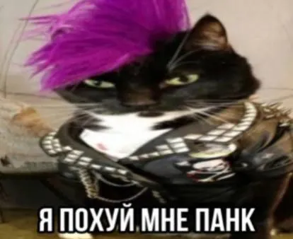 Я похуй, мне панк