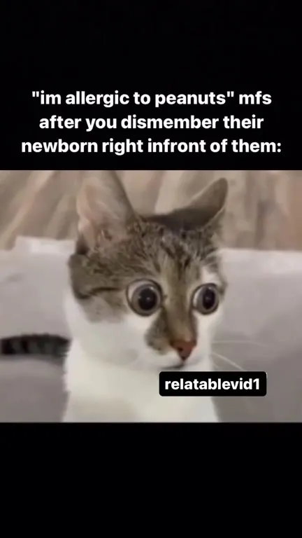Allergic to Peanuts Cat Reaction
