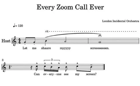 Every Zoom Call Ever
