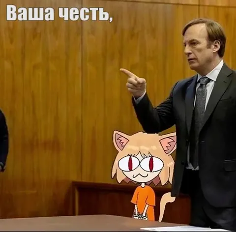 Адвокат защищает глупого кота
