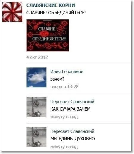 Славяне объединяйтесь — зачем?