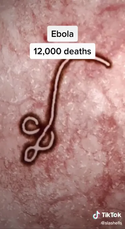 Deadliest Pandemics Escalation