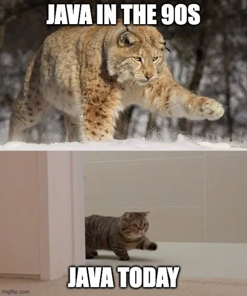 Java in the 90s vs today