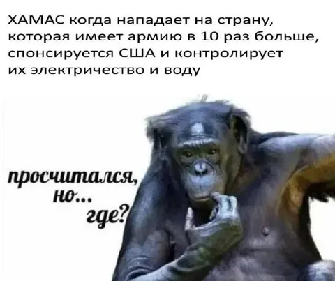 ХАМАС просчитался, но где?