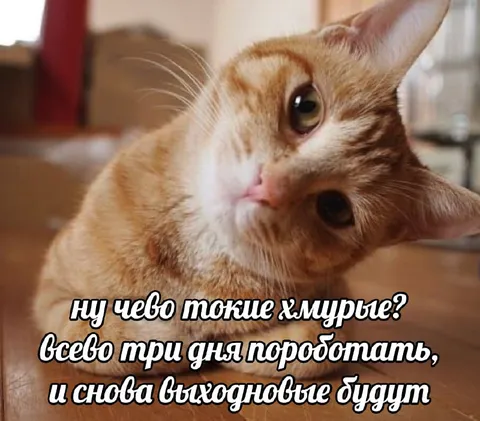 Всего три дня поработать