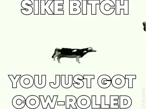 You Just Got Cow-Rolled