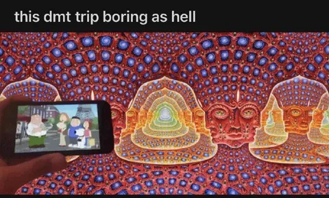 This DMT Trip Is Boring